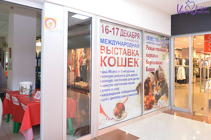 DSC_5684