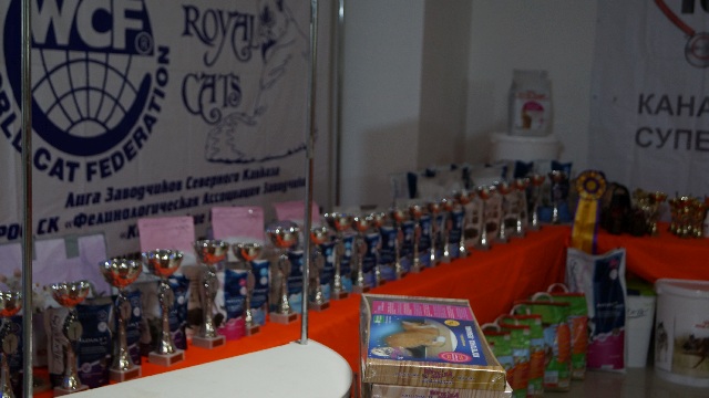 DSC00503