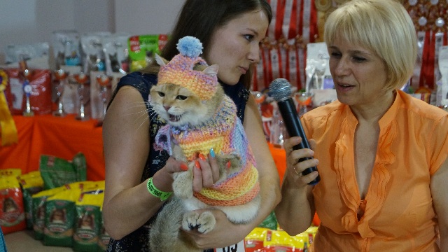 DSC00540
