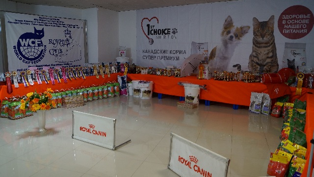 DSC00561