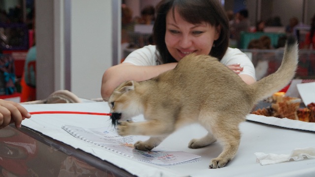DSC00569