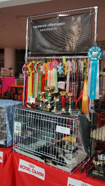 DSC00577