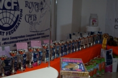 DSC00503