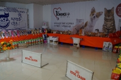 DSC00561