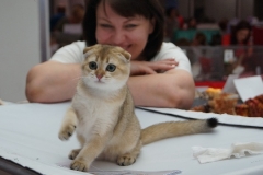 DSC00570