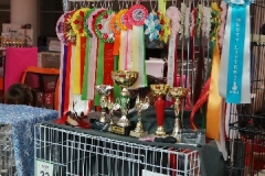 DSC00577