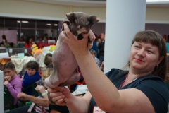 DSC00578