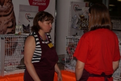 DSC00581