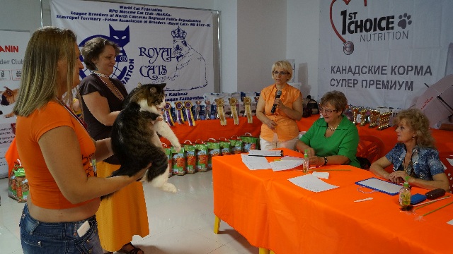DSC00807