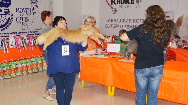 DSC00835