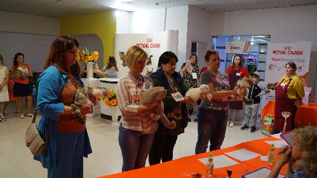 DSC00855