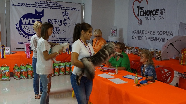 DSC00874