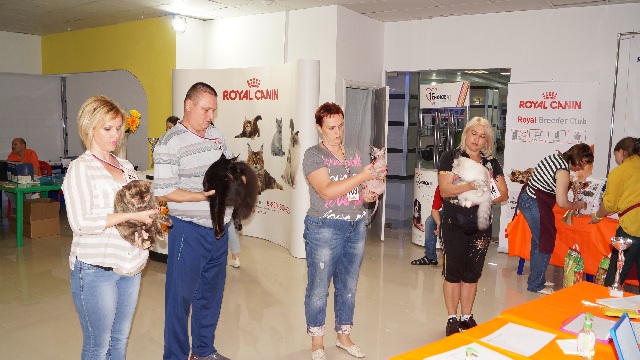 DSC00954