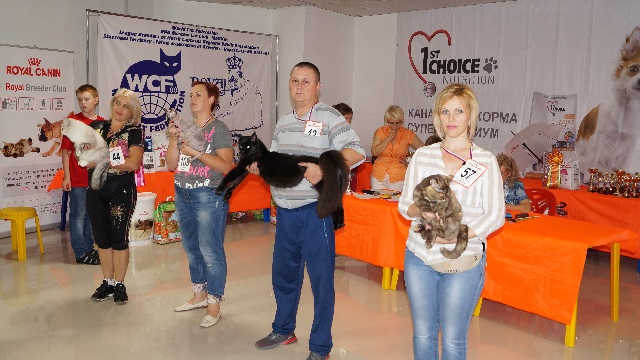 DSC00956