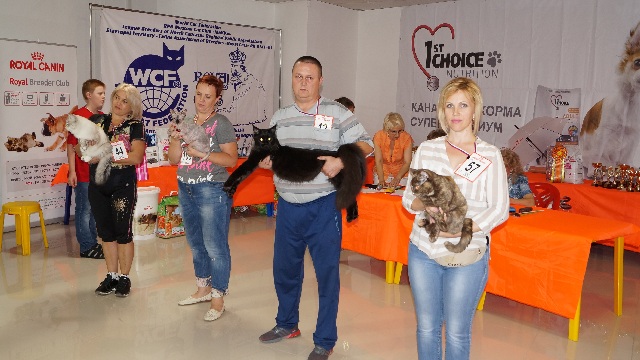 DSC00957