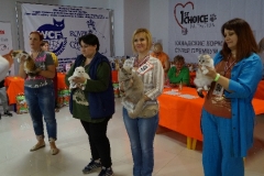 DSC00857