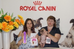 DSC00946