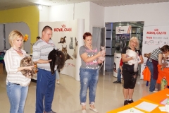 DSC00954