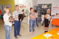 DSC00955