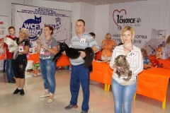 DSC00956