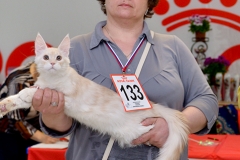 а1