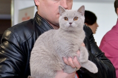 а7
