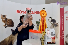 DSC_2560