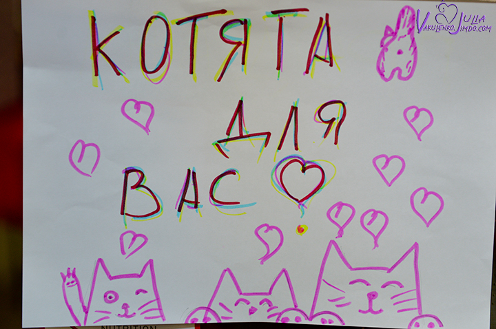 75д