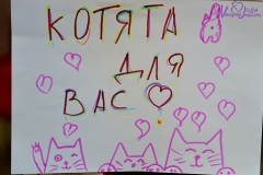 75д