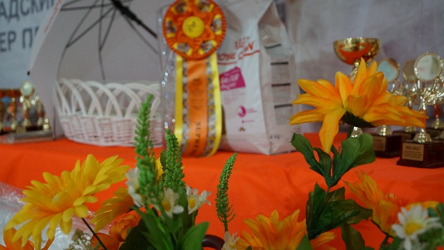 DSC00443