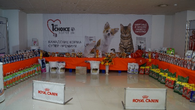 DSC00460