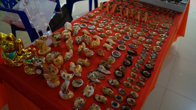 DSC00484