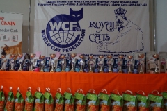 DSC00461