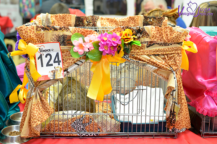 58
