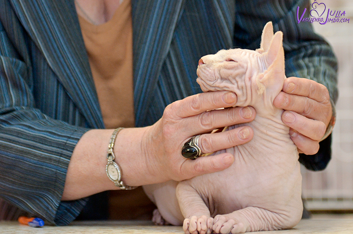 DSC_2314