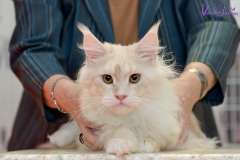 DSC_2291