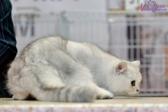 DSC_2320