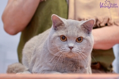 DSC_2065